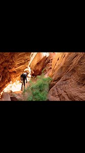 Man vs wild how to survive in jungle with bear grylls new episode #shortsreels #viralreelschallenge #forest #jungle #adventure #motivation #reelschallengereelschallenge | Neutron Gaming
