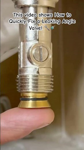 Plumbing: Installing a Valve Adaptor and O-Ring Seal #Plumbing #DIY #HomeImprovement #PlumbingHack