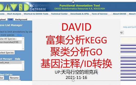 【技能44】用DAVID 聚类分析（GO）和富集分析（KEGG）&ID转换、基因注释_20211116