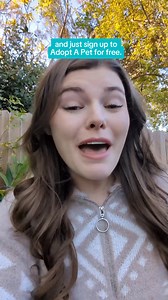 Tell us what you’re looking for and we’ll send free alerts with adoptable pets who meet your criteria. Easy as that. | Adopt a Pet