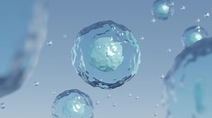 Download Cell in membrane for micro biotechnology, 4k 3d animation for free