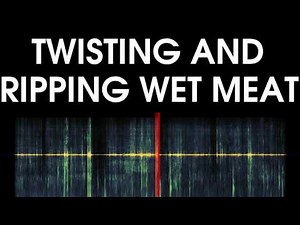Twisting and Ripping Wet Meat Sound Effect