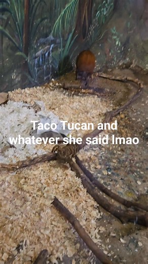 Alissa Angel on Reels