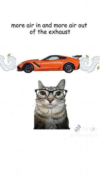 Cammed Corvette Features Explored by Cats