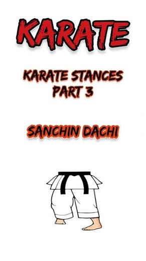 🥋 KARATE Stances – Part 3 #karate #karatedo #karatetraining
