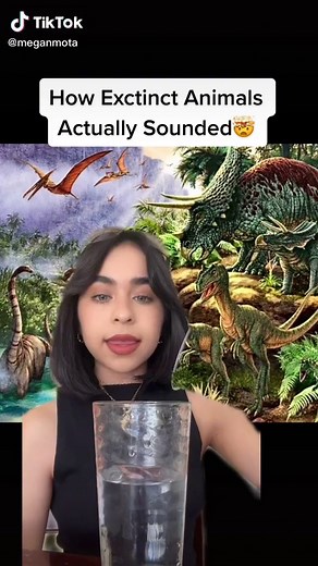 Experience the Sounds of Extinct Animals🦕