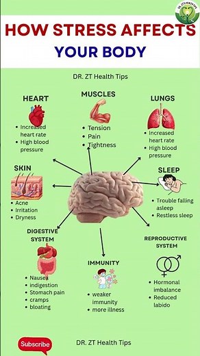 How Stress Affects Your Organs| Dr. ZT’s Health Tips#healthtips