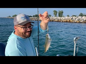 🔴 LIVE - Better Salmon Bite In The Dark & Perch Update | Lake Michigan Fishing Report 7/5/25