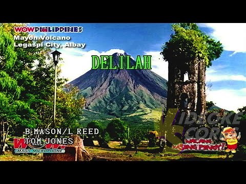 Tom Jones - Delilah (Karaoke/Lyrics/Instrumental)