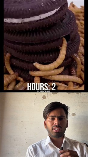 Orea Eating challenge 🪳#shorts