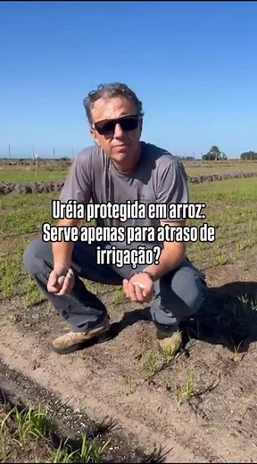 7.7K views · 268 reactions |  A uréia com inibidores de urease é uma...