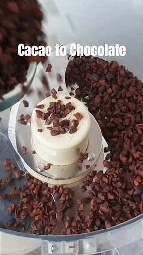 Making Chocolate from scratch from Cacao Nibs #cocoa
