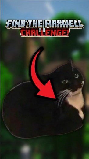 Find The Maxwell Cat Challenge! #minecraft