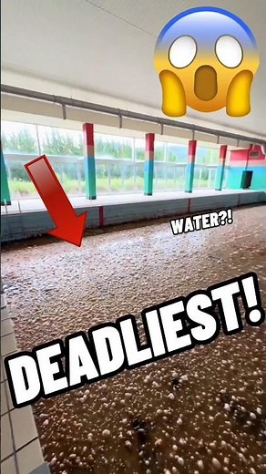 TOP 5 MOST DANGEROUS WATERS EVER!