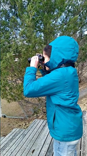 Bayesian Statistics Explained in 36 Seconds