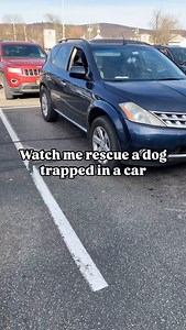 15K views · 2.8K reactions | I stole this husky who was trapped in a car in distress Did I do the right thing ? | Freezing Husky | Facebook