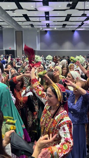 Understanding the Work of Jamil Alramoony and Team