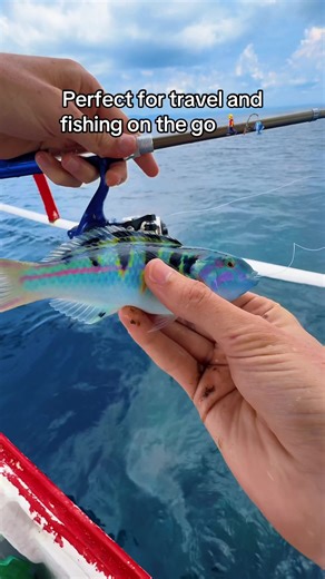 This is the perfect fishing rod for travelling ✈️🌴🎣. #fishing #catchingfish #fishinggear #penfishingrod #fishtok #travelhack #travelessentials