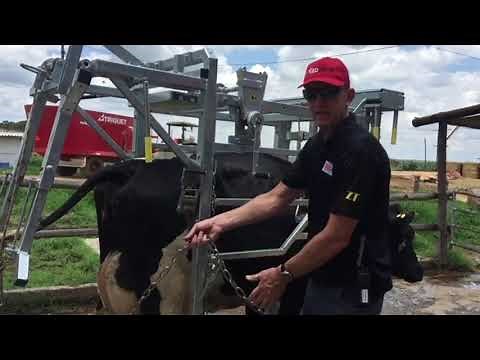 Tip of the Month: Hoof Trimming With the Correct Equipment