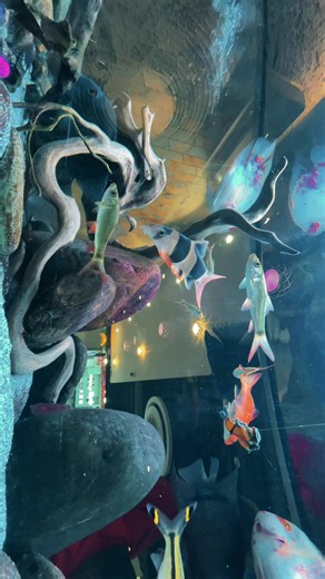 ✨. #tiktok #fyp #foryoupage