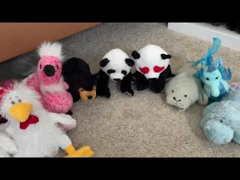 Organizing My Webkinz Plush Collection