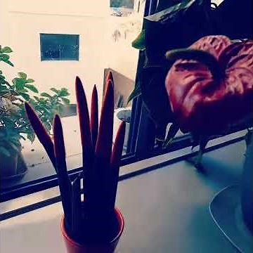 يسعد صباحك كل ما البلبل شدى وكل ما الازهار طرطشها الندى كوّن جمالك ربنا في جنته طوني حنا