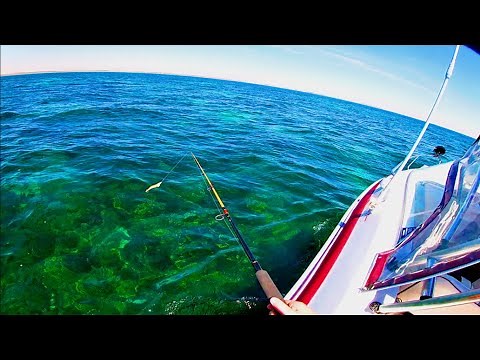 Boat Fishing South Australia | King George Whiting, Flathead & Squid Fishing | Yorke Peninsula -Ep11