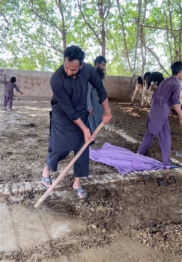 dogar.dairy.sahiwal on TikTok