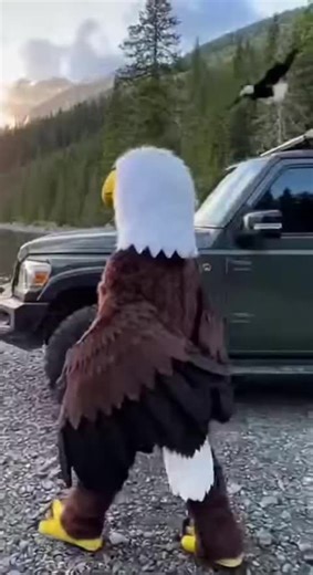 very funny egl movement #egl #funny #ai #Viral #animal