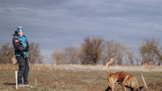 Bosnia's Demining Dogs Sniff Out Land Mines In Ukraine