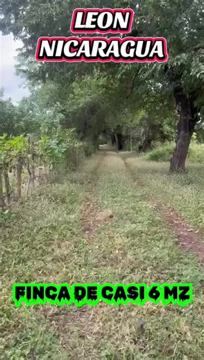 PRECIO: 70,000 $ #ventadefincasennicaragua #fincasenventa #ventadefincas #farm #nicaragua🇳🇮