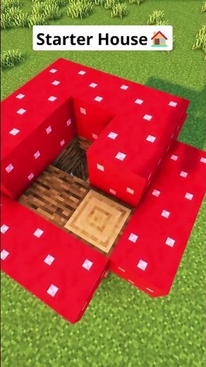 Minecraft Easy Starter House🏠 #shorts