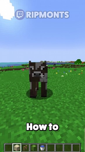 How to make a quick and easy XP farm #minecraft #minecraftbuilding #fypシ #letmefixthat #foryou