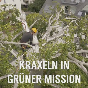 17K views · 63 reactions | Auch Bäume brauchen Pflege ❤️ | NDR.de | Facebook