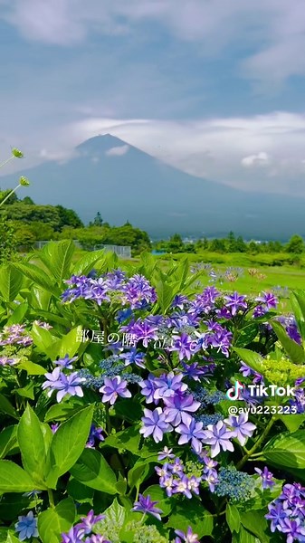 Exploring the Beauty of Shiraito Nature Park and Ondome Waterfall