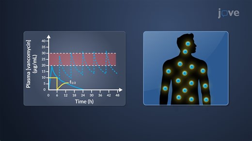 비디오: 투여 간격 및 투여 경로: 결정 방법