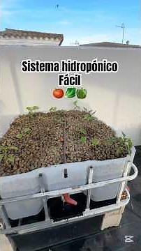 Easy hydroponic system