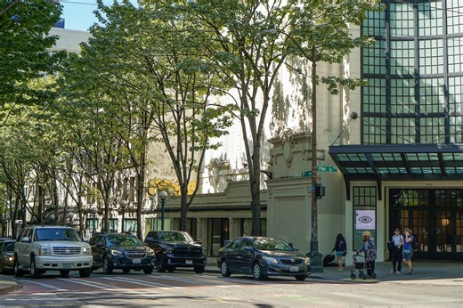 Washington Urban Forestry Program Faces 'Existential' Budget Cut