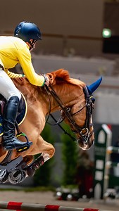 3.4K views · 210 reactions | Our main man Vitiki finishes 2nd in CSI5*w 1m45 LR class @germanmasters 朗 ⬇️  @uvexequestrian @dlacerda.com.br @meyerselles @flexonofficiel @redmillshorse @equineamerica @equine74international @haygainusa @hinterland_equestrian @dommelschewatermolenzuidwest @ebequinebalance @eco_litiere | Yuri Mansur | Facebook