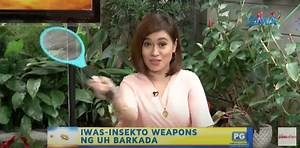 5 insect-repelling plants to protect you from pesky insects