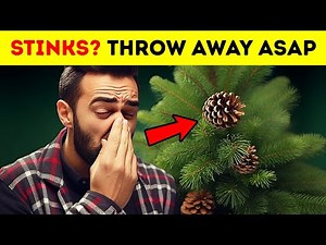 If Your Christmas Tree Smells Bad, Here's Why
