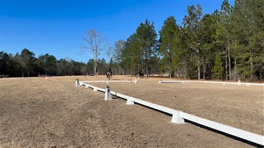 George working hard and improved his score for First level Test 2 by four points to earn a 68% for his second attempt! Eager to give me a change which will be beneficial down the road 🤩 #dressage #out2run #forsale #zangershiede | Out 2 Run Equestrian LLC