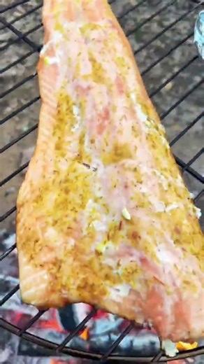Easy 3 ingredient dinner #woods #camping #openfire #salmon... #Shorts #cookingwithvofficial