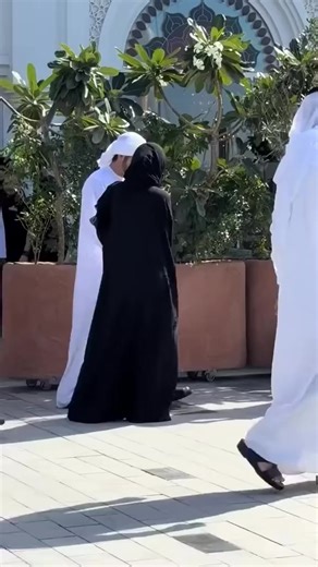 #hamdan #faz3🇦🇪🇦🇪 #fazza #fazza♥🇦🇪