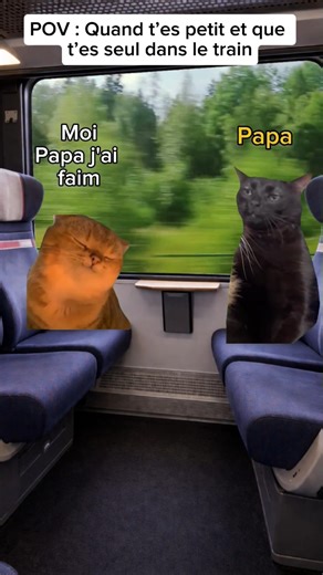 POV : Quand t’es petit et que t’es seul dans le train #humour #catmemes #sketch #pov