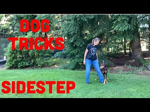How to Train Your Dog to Sidestep