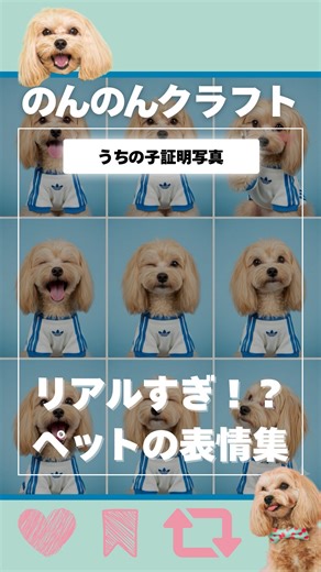 のんのん🧸NONNON🩵 on Instagram: "次に流行るのはこれに違いない！🔥 Googleの最新画像生成AIモデル 「Nano Banana」が凄すぎた…！🍌🤖 📸 写真1枚＋プロンプトだけで うちの子の色んな“リアルすぎる表情”が見れるの？！🐶💖 みんなもぜひ試してみてね！ プロンプトが欲しい人は、このリールにコメントしてね👇 コメントしてくれた人にはDMで送ります📩 ※DM受け取り拒否設定の人には届かないので注意⚠️ ※このプロンプトはのんのんオリジナル✨転載NGです🙏 注意点 📝 ・なるべくペットの正面写真が正確に生成されやすいよ ・利用にはGoogleアカウントが必要 👉 Googleアカウントがない人は、 このリールの関連リールで紹介してる “LMArena.ai” サイトから 「Nano-bananaモデル」を選べば使える！ ・Googleは1日の生成回数に上限あり 🏷𓂃𓈒𓏸︎︎︎︎ #nanobanana #googlegemini #googleaistudio #googleai #pet #emotion #cute #