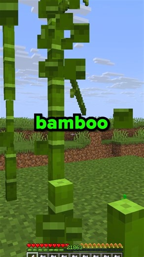 Shark SMP on Instagram: "What Happens On The HARDEST Minecraft SMP"