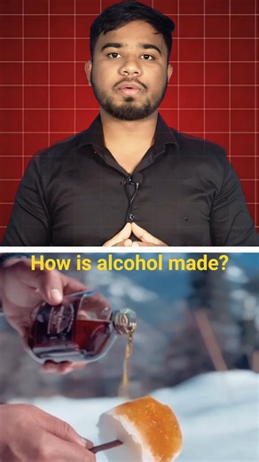 Alcohol Making Process Explained | Fermentation & Distillation | Complete Guide 2025#truedialogue