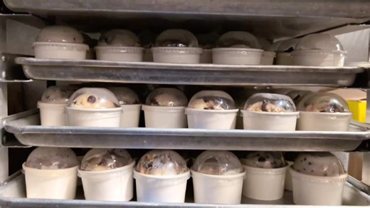 5.1K views · 82 reactions | Need a sweet treat to kick off the start of Spring Break? FGCU's new student-run creamery has you covered. 礪 Read more on #FGCU 360 ➡️ https://fgcu360.com/2025/02/25/the-sweet-life-at-fgcu-student-led-business-scoops-out-success/ | Florida Gulf Coast University | Facebook